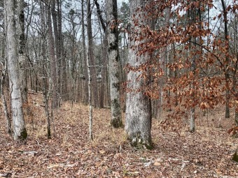 Come and build your dream home on this spacious double lot on Malvern Country Club in Arkansas - for sale on GolfHomes.com, golf home, golf lot
