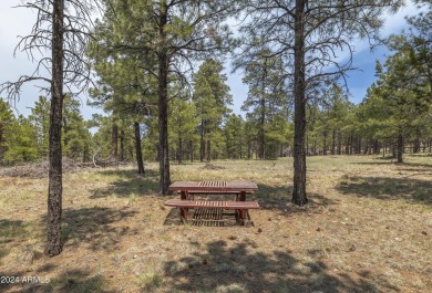 Beautiful 4 Bedroom, 3 full Bath home situated on an oversized on Continental Country Club in Arizona - for sale on GolfHomes.com, golf home, golf lot