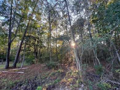 This .22 acre lot is situated in the heart of the prestigious on Rayburn Country Club in Texas - for sale on GolfHomes.com, golf home, golf lot