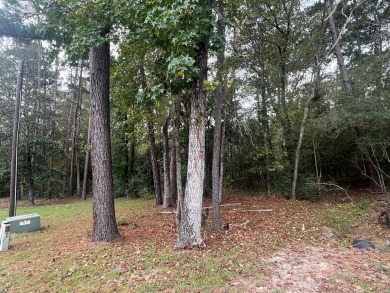 This .22 acre lot is situated in the heart of the prestigious on Rayburn Country Club in Texas - for sale on GolfHomes.com, golf home, golf lot