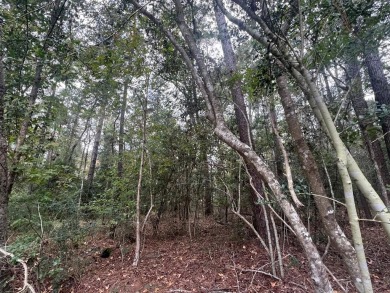 This .22 acre lot is situated in the heart of the prestigious on Rayburn Country Club in Texas - for sale on GolfHomes.com, golf home, golf lot