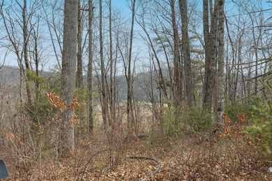 Discover an exceptional opportunity to build your mountain on Old Edwards Club in North Carolina - for sale on GolfHomes.com, golf home, golf lot