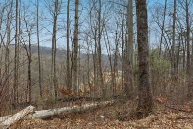 Discover an exceptional opportunity to build your mountain on Old Edwards Club in North Carolina - for sale on GolfHomes.com, golf home, golf lot