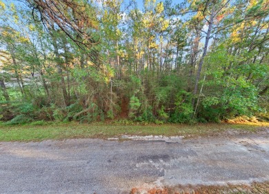 Escape to the tranquility of Lake Sam Rayburn with this on Rayburn Country Club in Texas - for sale on GolfHomes.com, golf home, golf lot