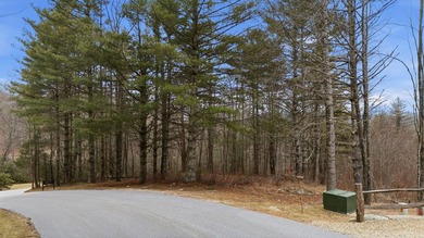 Rare large flat lot offers multiple building possibilities on Trillium Links in North Carolina - for sale on GolfHomes.com, golf home, golf lot