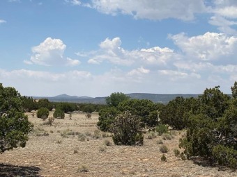 Prime, easy buildable lot with views. Create your dream home on on The Club At Las Campanas  in New Mexico - for sale on GolfHomes.com, golf home, golf lot