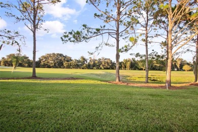 STUNNING GOLF COURSE VIEWS and ROOM FOR A LARGE POOL.  
This on Glenview Championship Golf and Country Club in Florida - for sale on GolfHomes.com, golf home, golf lot