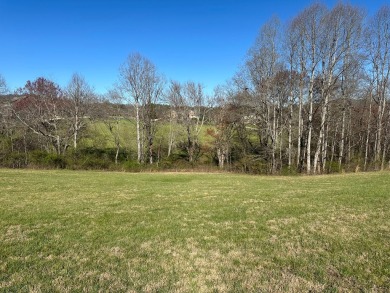 GREAT buildable 1.38 acre lot on this beautiful gently sloped on Old Union Golf Course in Georgia - for sale on GolfHomes.com, golf home, golf lot
