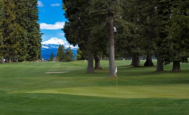 Fantastic opportunity! Lake Almanor Country Club offers a on Lake Almanor Country Club in California - for sale on GolfHomes.com, golf home, golf lot