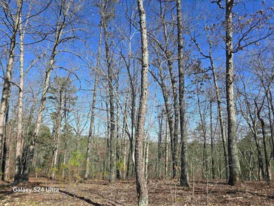 Welcome to market this 4.50-acre tract with mountain views and on Indian Hills Country Club in Arkansas - for sale on GolfHomes.com, golf home, golf lot
