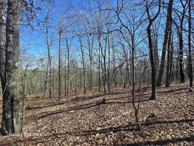 Welcome to market this 4.50-acre tract with mountain views and on Indian Hills Country Club in Arkansas - for sale on GolfHomes.com, golf home, golf lot