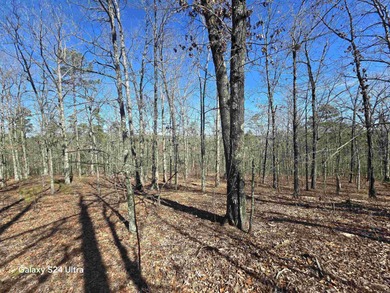 Welcome to market this 4.50-acre tract with mountain views and on Indian Hills Country Club in Arkansas - for sale on GolfHomes.com, golf home, golf lot