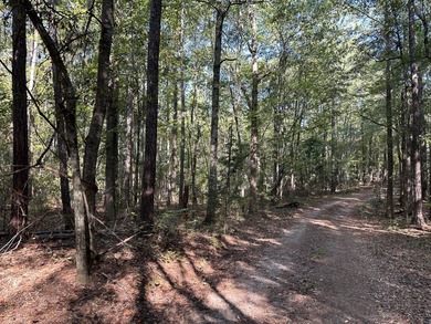 Opportunity awaits at 707 Pebblebrook Road in Woodbury on Pebblebrook Golf Club in Georgia - for sale on GolfHomes.com, golf home, golf lot
