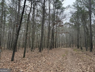 Opportunity awaits at 707 Pebblebrook Road in Woodbury on Pebblebrook Golf Club in Georgia - for sale on GolfHomes.com, golf home, golf lot