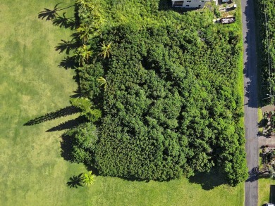 Golf course frontage!  This gently sloping lot faces east toward on Discovery Harbour Golf Course in Hawaii - for sale on GolfHomes.com, golf home, golf lot
