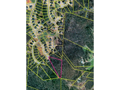 Discover one of the best values in Traditions of Braselton. This on Traditions of Braselton Golf Club in Georgia - for sale on GolfHomes.com, golf home, golf lot