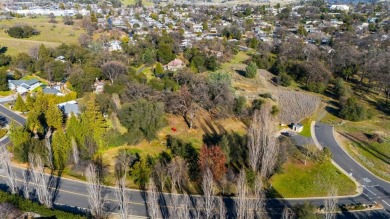 EASY LIVING here in the highly desirable Angel Oaks Subdivision on Greenhorn Creek Resort in California - for sale on GolfHomes.com, golf home, golf lot