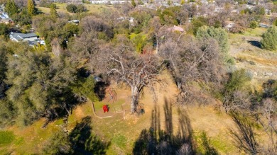 EASY LIVING here in the highly desirable Angel Oaks Subdivision on Greenhorn Creek Resort in California - for sale on GolfHomes.com, golf home, golf lot