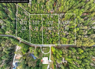 One lot on 1.813 acres are primed and ready for you to construct on Rayburn Country Club in Texas - for sale on GolfHomes.com, golf home, golf lot