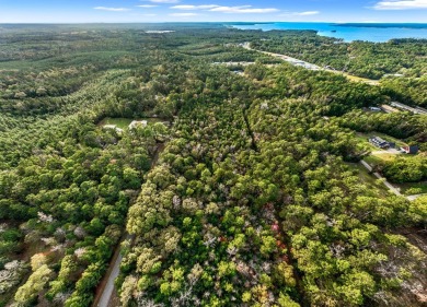 One lot on 1.813 acres are primed and ready for you to construct on Rayburn Country Club in Texas - for sale on GolfHomes.com, golf home, golf lot