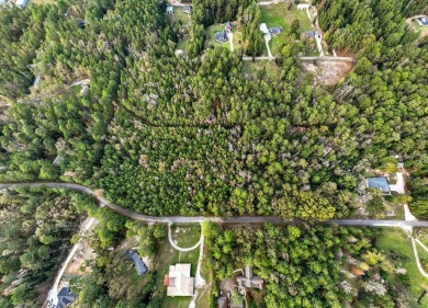 One lot on 1.813 acres are primed and ready for you to construct on Rayburn Country Club in Texas - for sale on GolfHomes.com, golf home, golf lot
