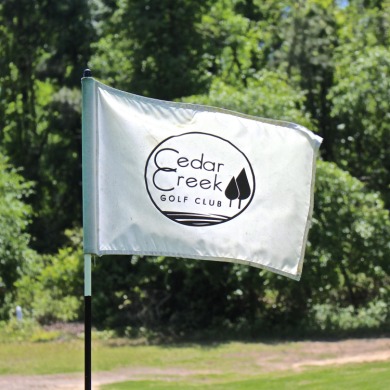 Lovely, well-treed home site with a front to back topography in on The Golf Club At Cedar Creek in South Carolina - for sale on GolfHomes.com, golf home, golf lot