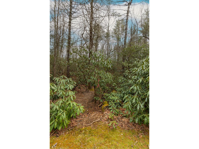 Build a dream golf course home on this affordable lot in the on Burlingame Country Club in North Carolina - for sale on GolfHomes.com, golf home, golf lot