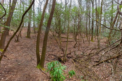 Build a dream golf course home on this affordable lot in the on Burlingame Country Club in North Carolina - for sale on GolfHomes.com, golf home, golf lot