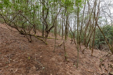 Build a dream golf course home on this affordable lot in the on Burlingame Country Club in North Carolina - for sale on GolfHomes.com, golf home, golf lot