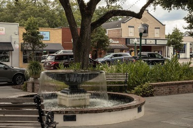 Looking for the perfect home in downtown Summerville? It on Miler Country Club in South Carolina - for sale on GolfHomes.com, golf home, golf lot