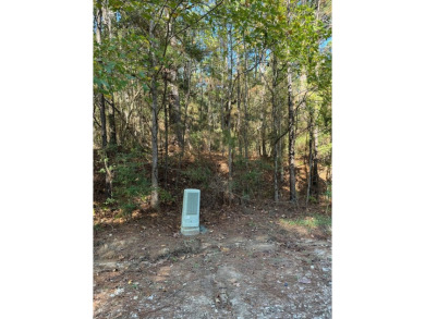 Half-acre buildable lot in the golf course area of the Rayburn on Rayburn Country Club in Texas - for sale on GolfHomes.com, golf home, golf lot