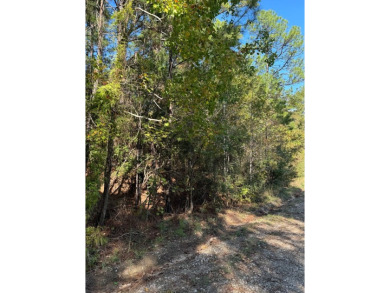 Half-acre buildable lot in the golf course area of the Rayburn on Rayburn Country Club in Texas - for sale on GolfHomes.com, golf home, golf lot