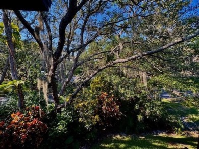 Experience the best of the Florida lifestyle in this beautifully on Innisbrook Resort and Golf Club in Florida - for sale on GolfHomes.com, golf home, golf lot