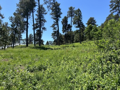 Welcome to this exclusive opportunity to own 17.25 acres in the on Elkhorn Ridge Golf Course in South Dakota - for sale on GolfHomes.com, golf home, golf lot