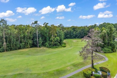 Do you believe in second chances? This gorgeous home is on Blackmoor Golf Club in South Carolina - for sale on GolfHomes.com, golf home, golf lot