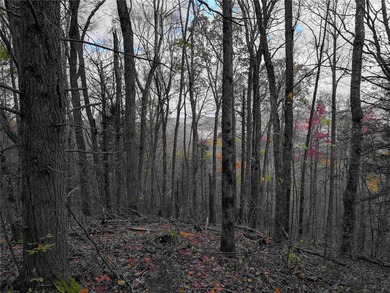 GREAT LOT FOR BUILDING! 2.89 ACRES. Located in the Preferred on Trillium Links in North Carolina - for sale on GolfHomes.com, golf home, golf lot