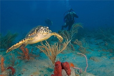 Oversized Tripe Lot - 15,000 Sq Ft on Canal - Discover the on Del Tura Golf and Country Club in Florida - for sale on GolfHomes.com, golf home, golf lot