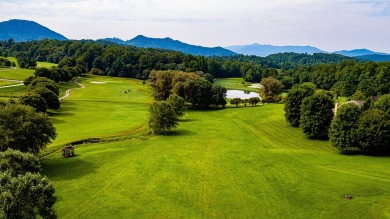 GENTLE LOT IN GATED GOLF COURSE COMMUNITY IN THE MOUNTAINS OF on Chatuge Shores Golf Course in North Carolina - for sale on GolfHomes.com, golf home, golf lot