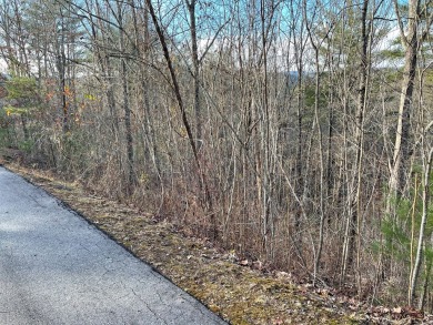 GENTLE LOT IN GATED GOLF COURSE COMMUNITY IN THE MOUNTAINS OF on Chatuge Shores Golf Course in North Carolina - for sale on GolfHomes.com, golf home, golf lot