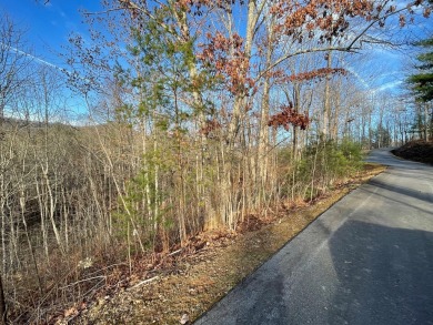 GENTLE LOT IN GATED GOLF COURSE COMMUNITY IN THE MOUNTAINS OF on Chatuge Shores Golf Course in North Carolina - for sale on GolfHomes.com, golf home, golf lot