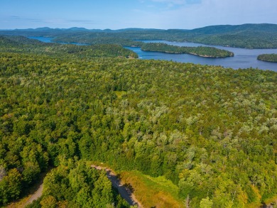 Looking for a classic Adirondack setting? Look no further than on Tupper Lake Country Club in New York - for sale on GolfHomes.com, golf home, golf lot