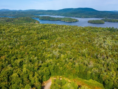 Looking for a classic Adirondack setting? Look no further than on Tupper Lake Country Club in New York - for sale on GolfHomes.com, golf home, golf lot