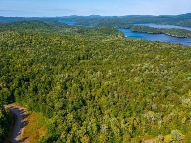 Looking for a classic Adirondack setting? Look no further than on Tupper Lake Country Club in New York - for sale on GolfHomes.com, golf home, golf lot