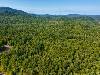 Looking for a classic Adirondack setting? Look no further than on Tupper Lake Country Club in New York - for sale on GolfHomes.com, golf home, golf lot