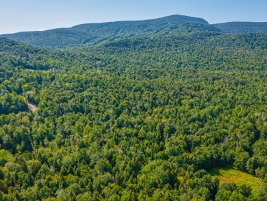 Looking for a classic Adirondack setting? Look no further than on Tupper Lake Country Club in New York - for sale on GolfHomes.com, golf home, golf lot