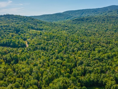 Looking for a classic Adirondack setting? Look no further than on Tupper Lake Country Club in New York - for sale on GolfHomes.com, golf home, golf lot