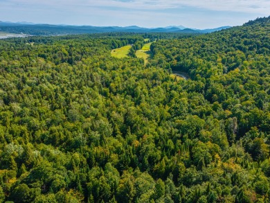 Looking for a classic Adirondack setting? Look no further than on Tupper Lake Country Club in New York - for sale on GolfHomes.com, golf home, golf lot