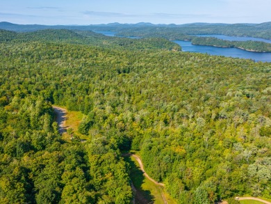 Looking for a classic Adirondack setting? Look no further than on Tupper Lake Country Club in New York - for sale on GolfHomes.com, golf home, golf lot