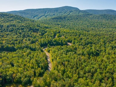 Looking for a classic Adirondack setting? Look no further than on Tupper Lake Country Club in New York - for sale on GolfHomes.com, golf home, golf lot