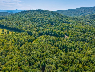 Looking for a classic Adirondack setting? Look no further than on Tupper Lake Country Club in New York - for sale on GolfHomes.com, golf home, golf lot